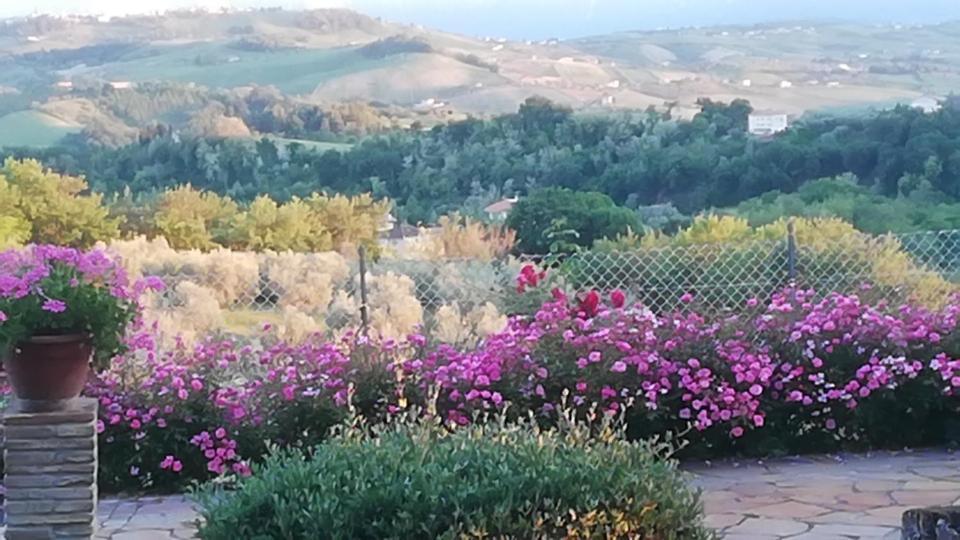 Sant'Omero Anthos Casa Vacanze מראה חיצוני תמונה